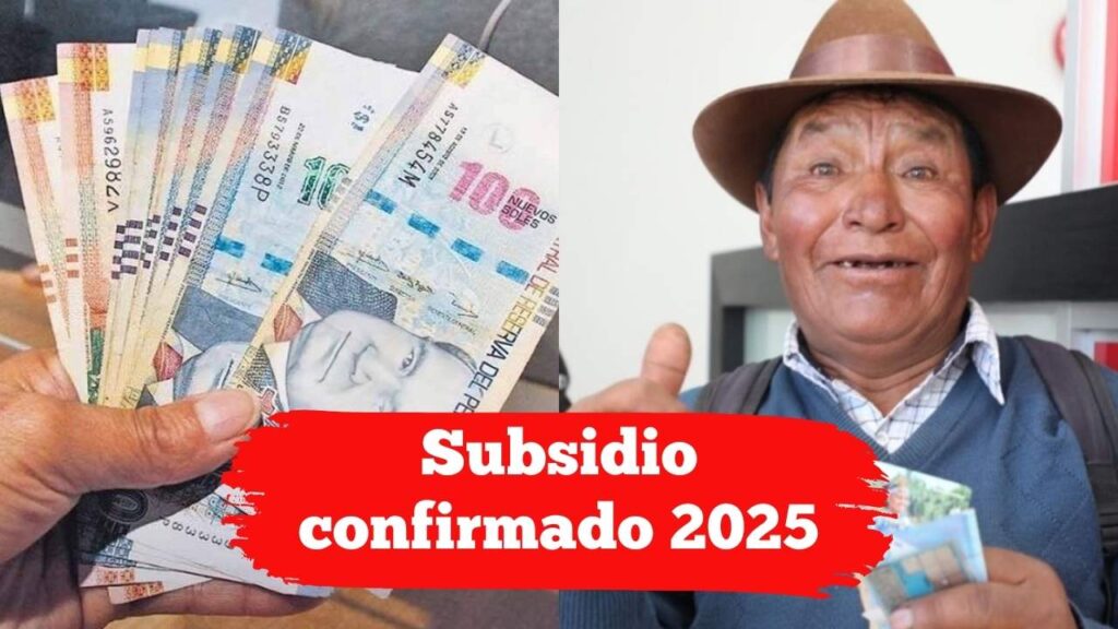 Subsidio confirmado 2025: consulta si te corresponde y cuándo cobras
